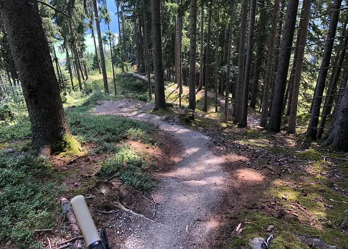 Lejlighed Bergviewhaus *